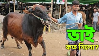 Bhai Koto Nilo Gabtoli Gorur Haat 2024  Part 1  Qurbani Cow Price in Bangladesh  Haat Update [upl. by Alber]