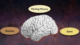 Exploring the Crossroads of Attention and Memory in the Aging Brain Views from the Inside [upl. by Augusta590]