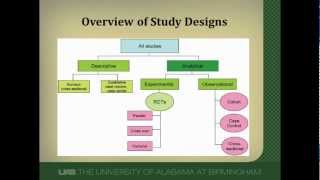 Cohort Studies A Brief Overview [upl. by Tlevesor309]