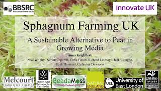 Sphagnum Farming UK  Anna Keightley [upl. by Avehstab563]