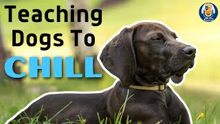 Get Your Dog To Calm Down With This Common Sense Protocol For Relaxation 191 podcast [upl. by Sherar]