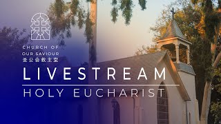 Holy Eucharist  Rite 2  Twentieth Sunday after Pentecost [upl. by Ahsilak]