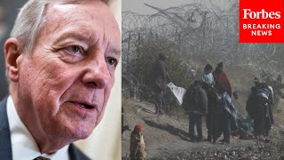 Dick Durbin Urges Bipartisan Immigration Reform To Solve Overwhelming At Southern Border [upl. by Ahsirhcal]