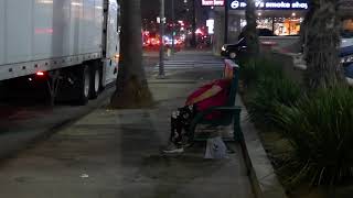 Homeless Nonstop on Sunset Blvd Los Angeles California USA October 5 2024 Disgusting Filthy [upl. by Elo]