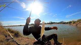 Pesca del PEJERREY quotPesca y cocinaquot En hermosa laguna PESCA URBANA hoy [upl. by Alesandrini845]