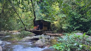 Full Video 300 days of bushwalking in the forest Build farms hunt and grow crops [upl. by Hemminger]