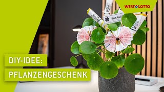 DIYIdee Glück im Blumentopf [upl. by Ayra905]