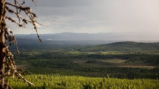 Storforsen Gallejaur Svartliden Knösarna  Naturreservat i Västerbotten amp Norrbotten [upl. by Etnemelc619]