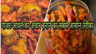 Gajar  Amla ka achar bnane ki sbse easy trick गाजरआवलें का स्वादिष्ट अचार कैसे बनाए [upl. by Nivrae]