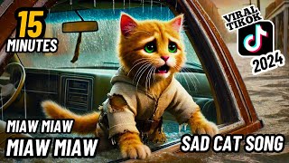 15 Minutes Miaw miaw miaw miaw Viral Song sad Tiktok 2024😭 cat aicat catlover [upl. by Yggep782]