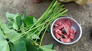 Most Village Recipe Kosu And Fish Curry cooking [upl. by Barcus]