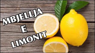 Si Behet Mbjellja e Limonit 🍋 [upl. by Akirat992]