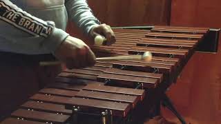 The Firebird  L’Oiseau de Feu  Igor Stravinsky  Xylophone Excerpt [upl. by Woodall]