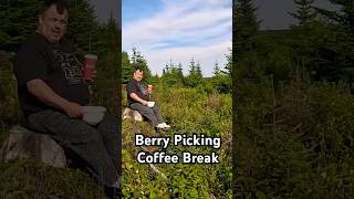 Berry picking coffee break berrypicking newfoundland coffeebreak youtubeshorts foryou [upl. by Tigirb]