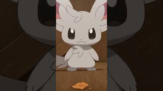 Poor Minccino 😔 pokemon POKETOON [upl. by Winne496]