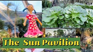 Succulents GardenCactus Garden Gardens By The Bay Singapore  The Sun Pavilionviral [upl. by Aleen]