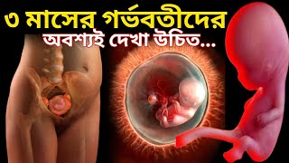 ৩ মাসের গর্ভবতী।3 Months onths of Pregnancy Bangla [upl. by Hanaj]