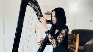 Madeleine Peyroux  La Javanaise harp cover [upl. by Nivlad304]