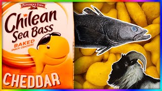 Snack ATTACK Goldfish Crackers REBRAND to Chilean Sea Bass MAINSTREAM MEDIA FISH BIAS  GoatVsFish [upl. by Nirad]