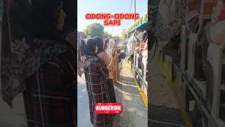 Mbok mbok naik odong odong sapi ngraho odongodong odongodongsapingraho [upl. by Aiyot]