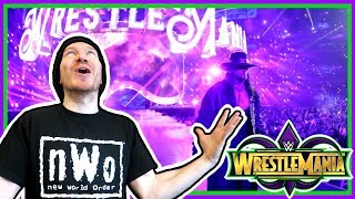 REACTION UNDERTAKER RETURNS AT WRESTLEMANIA 34 [upl. by Aivitnahs]