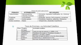 Metabolismo Vegetal Metabolitos Primarios y Secundarios [upl. by Annahpos]