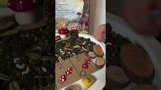 Fungithemed maths activity🍃🍄maths numeracy earlyyearsideas natureplay learningthroughplay [upl. by Richel]