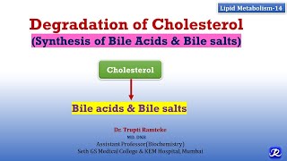 14 Cholesterol Degradation  Lipid Metabolism14  Biochemistry  NJOY Biochemistry [upl. by Eiveneg298]