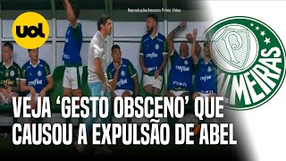 PALMEIRAS VEJA â€˜GESTO OBSCENOâ€™ QUE CAUSOU A EXPULSÃƒO DE ABEL FERREIRA EM JOGO CONTRA O FLAMENGO [upl. by Acnaiv]