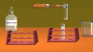 Detection of Elements Lassaigne’s Test  MeitY OLabs [upl. by Izmar]