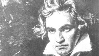 Ludwig van Beethoven  5 Sinfonie  Satz 1 [upl. by Lawrenson351]