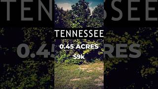 Land for Sale 045 Acres in TN [upl. by Donahue]