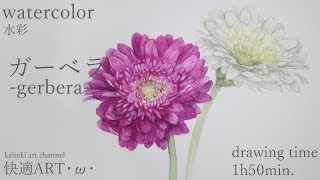 【watercolor】gerbera・ω・ガーベラ【水彩】 [upl. by Kcoj]