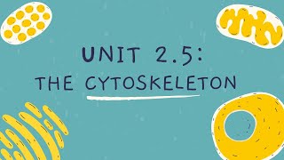 Unit 25 The Cytoskeleton [upl. by Acinna]