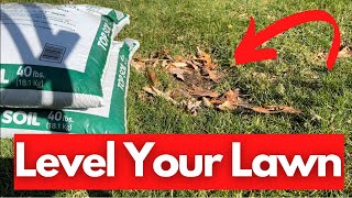 How To Level a Low Spot in the Lawn [upl. by Ilil]