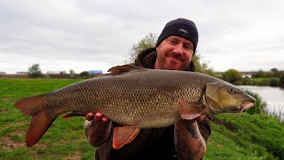 Barbel Fishing  Daytime Bites On The RIVER [upl. by Etnoved110]