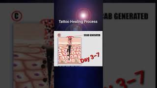 Tattoo Healing Process [upl. by Htenay]