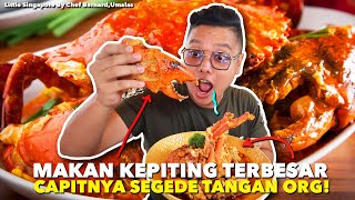 NYOBAIN KEPITING TERBESAR DI BALI YANG BIASA DI MAKAN PARA PEJABAT [upl. by Palm]