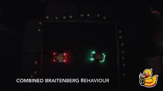 Braitenberg Behaviour on Duckiebots [upl. by Porta]