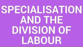 Specialisation and the Division of Labor [upl. by Deyas]