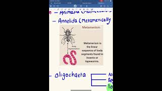 Metamerism of earthworm ceenepal biology mbbsentrance [upl. by Algar]