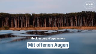 Sehnsucht nach Wasser und Weitblick  MecklenburgVorpommern  Das Urlaubsland [upl. by Gora]