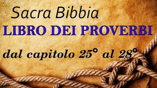 Sacra Bibbia Proverbi dal capitolo 25° al 28° [upl. by Jacy]