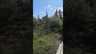 Pond on Top of Riisitunturi Lapland Finland [upl. by Aubrie]