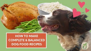 How to Make a Balanced Homemade Dog Food Recipe for FREE [upl. by Veator]