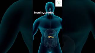 Health Facts  Ep 12 The Role of Insulin  Peptide Hormones Series science facts viralvideo [upl. by Eeraj]