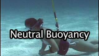 Neutral Buoyancy tips 2 [upl. by Itsrejk]