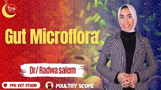 poultry scope ep5  Gut microflora by DrRadwa salem [upl. by Doyle]