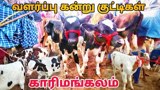 karimangalam cow market Biggest HF cow Jersey cow market Dharmapuri district [upl. by Ameluz453]