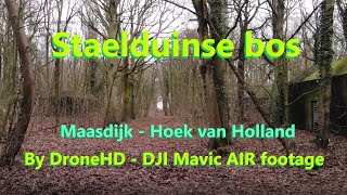 Staelduinse bos between Maasdijk  Hoek van Holland  4K30fps WW2 DJI mavic air 2021 [upl. by Ulland]